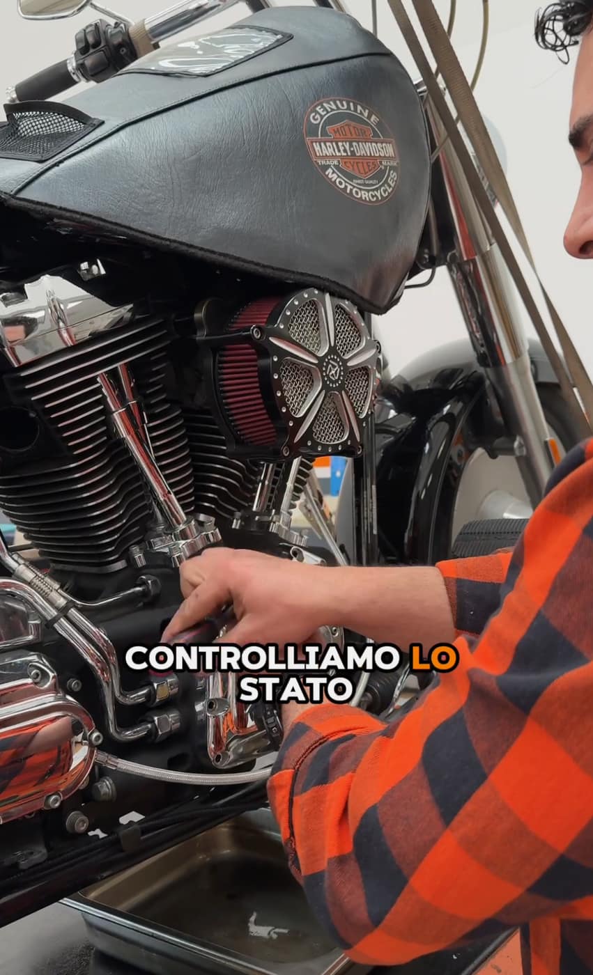 Bike 'n' Roll — foto 1