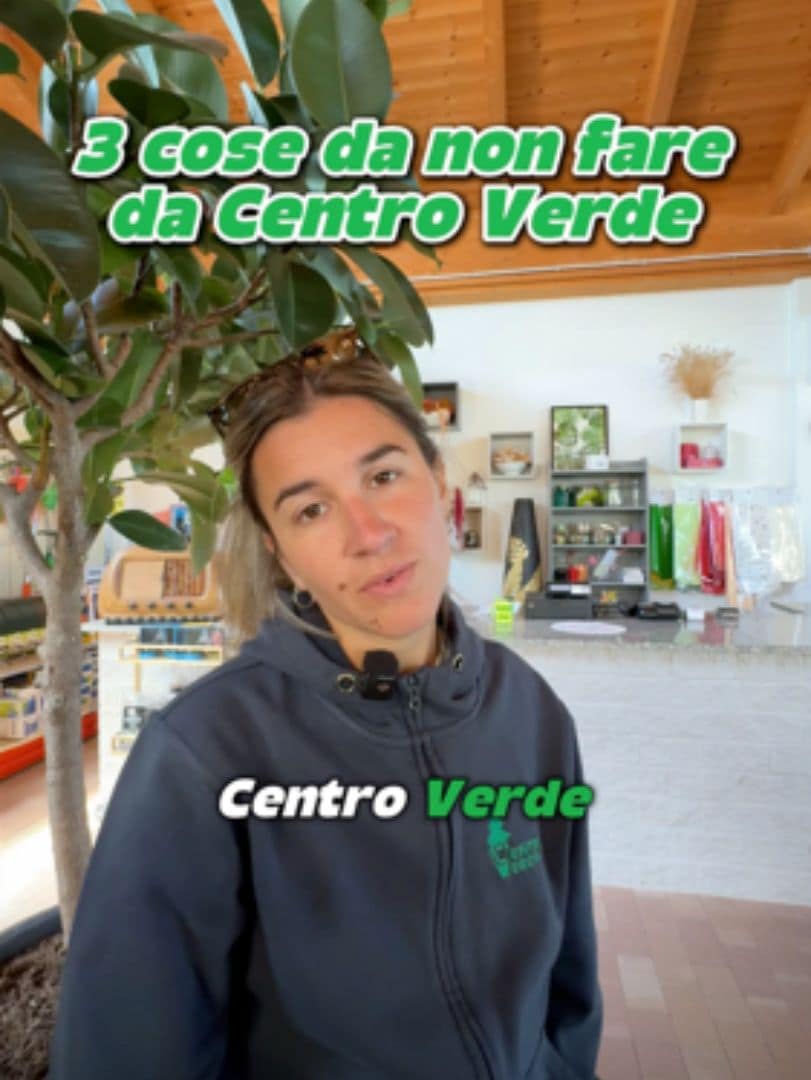 Centro Verde — foto 2