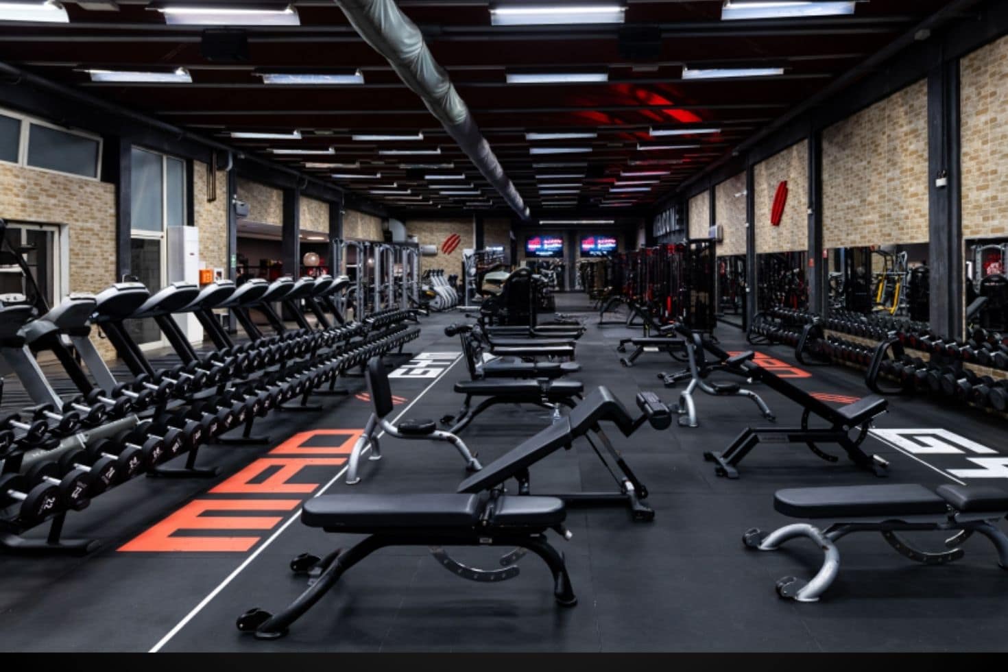 Mad Gym